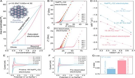 筑波大學(xué)周豪慎、楊慧軍/天津大學(xué)楊全紅PNAS：分子篩膜賦予硬碳負(fù)極高倍率和超穩(wěn)定的鈉存儲(chǔ)