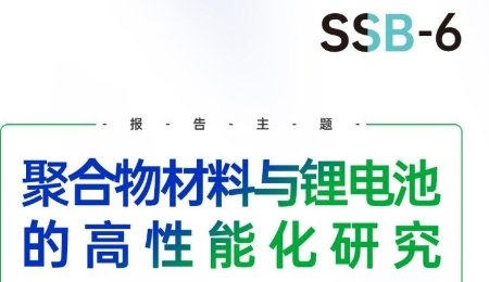 【會(huì)議報(bào)告】聚合物材料與鋰電池的高性能化研究