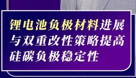 【會(huì)議報(bào)告】鋰電池負(fù)極材料進(jìn)展與雙重改性策略提高硅碳負(fù)極穩(wěn)定性