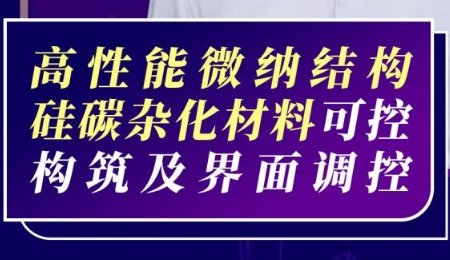 【會(huì)議報(bào)告】高性能微納結(jié)構(gòu)硅碳雜化材料可控構(gòu)筑及界面調(diào)控