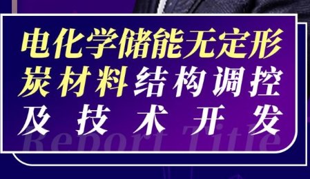 【會議報告】電化學儲能無定形炭材料結構調控及技術開發(fā)