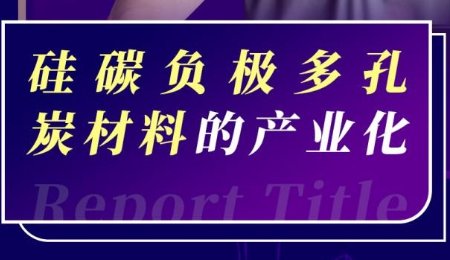【會(huì)議報(bào)告】硅碳負(fù)極多孔炭材料的產(chǎn)業(yè)化