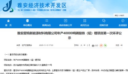 總投資30億元！年產(chǎn)4萬(wàn)噸磷酸鐵（錳）鋰項(xiàng)目環(huán)評(píng)公示