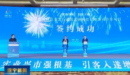 總投資58億元！年產(chǎn)13萬噸鈉電負(fù)極材料產(chǎn)業(yè)化基地簽約四川遂寧